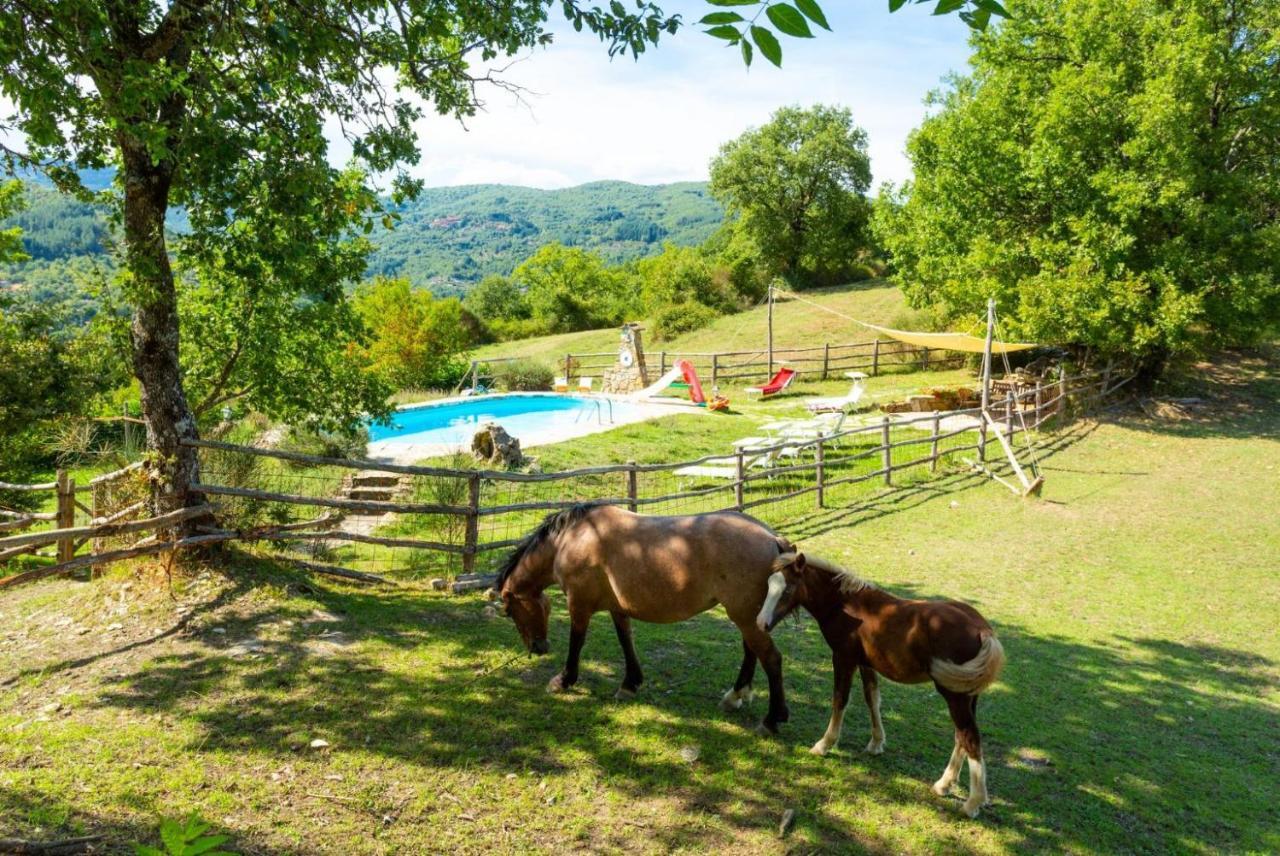 Villa Bellavista Arezzo Exterior photo