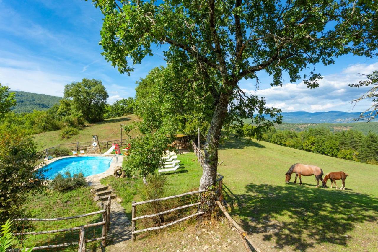 Villa Bellavista Arezzo Exterior photo